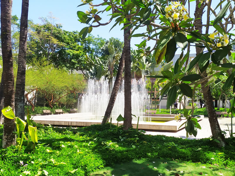 city garden